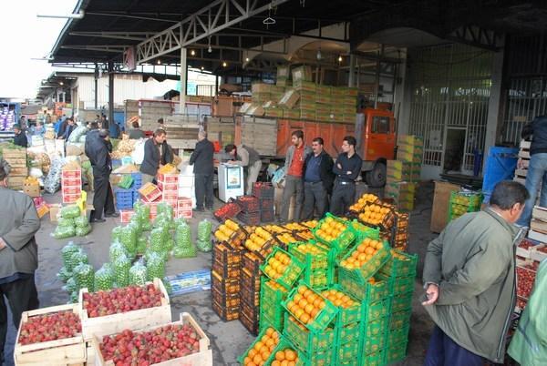 5 علت اصلی نابسامانی در قیمت بازار محصولات کشاورزی، راه چاره اصلی امنیت مالی در بازار تولیدات زراعی