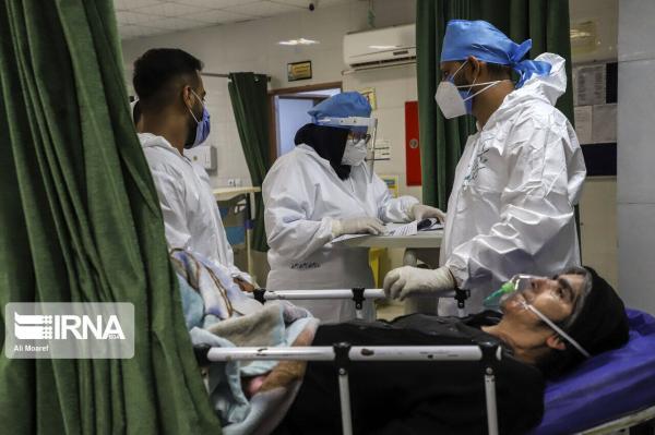 خبرنگاران 816 بیمار مبتلا به کووید 19 در بیمارستان های کرمانشاه بستری هستند