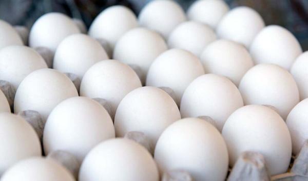 قیمت هر شانه تخم مرغ در میادین اعلام شد