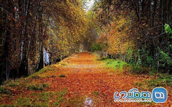 طبیعت گردی آخر هفته ای ، روستای برغان کرج، سفری با طعم آلو