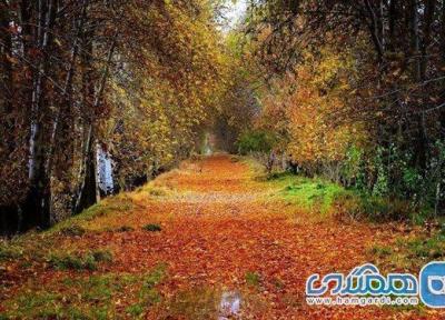 طبیعت گردی آخر هفته ای ، روستای برغان کرج، سفری با طعم آلو