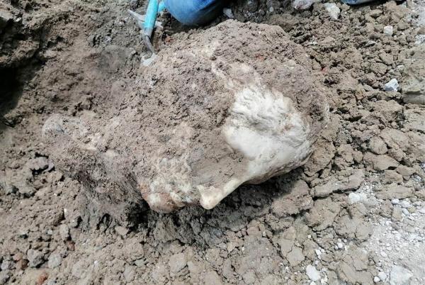 کشف حیرت انگیز مجسمۀ الهۀ زیبایی در زیر یک دیوار کشف حیرت انگیز مجسمۀ الهۀ زیبایی در زیر یک دیوار